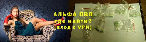 PSILOCYBIN Карпинск