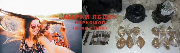 PSILOCYBIN Карпинск